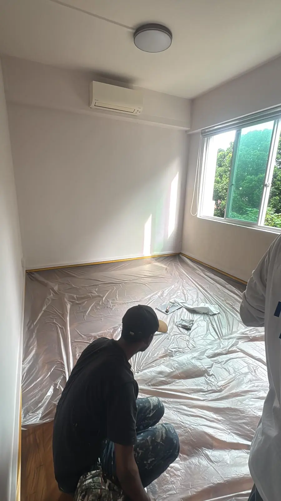 Professional Painting Work